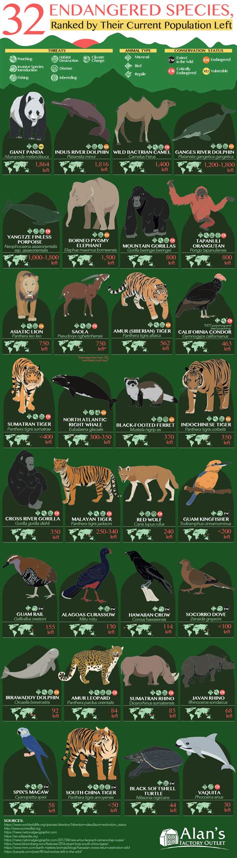 32 Animals That Are Going To Be Extinct Soon Endangered Species Oasdom