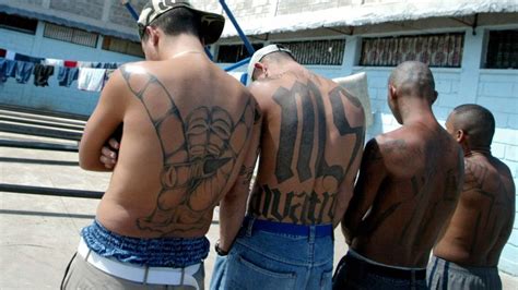 What Is Ms 13 The ‘transnational Street Gang On The Fbis Radar Cnn
