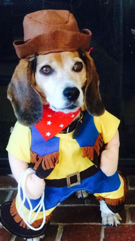 Barney The Cowboy Beagles Hats Fashion Moda Hat Fashion Styles