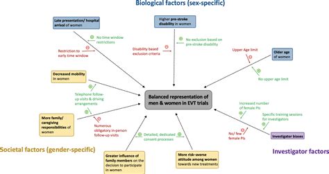 Toward A Better Understanding Of Sex And Gender Related Differences In Endovascular Stroke