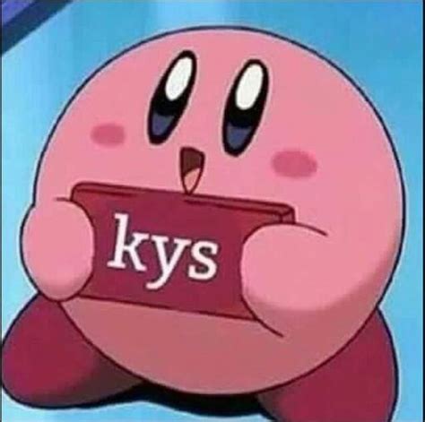Kirby Pfp Kirby Plush Pfp Please Stop Using My Pfp Kirby Amino