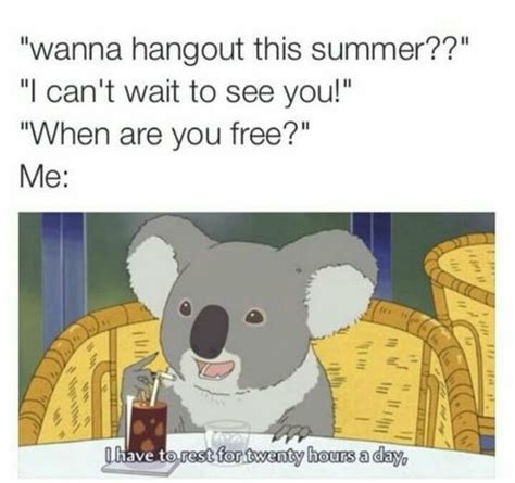 If you go to the gym. 14 Memes You'll Totally Get If You Just Really Don't Wanna ...