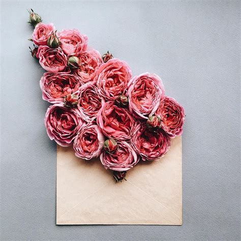 kiev based photographer anna remarchuk has created these poetic compositions tucking flowers