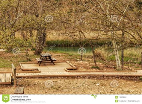 Wooden Bench Surrounded By Vegetation And Flowers In A Park Stock Photo
