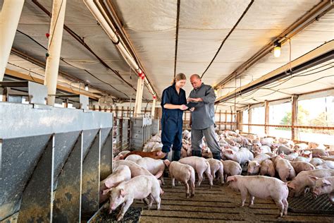 Farm Business Operations Pork Checkoff