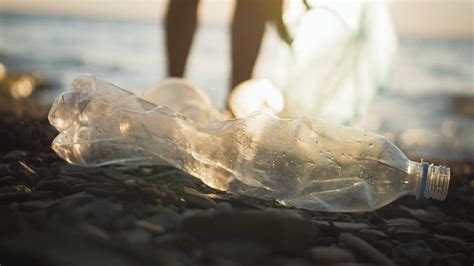 Plastic Bottles Trash On Sea Beach Empty Stock Footage Sbv 338715293