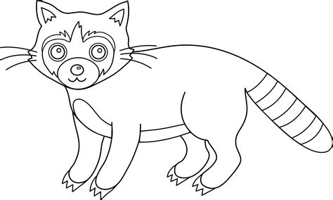 Raccoon Coloring Pages Animal Coloring Pages Zoo Coloring Pages Zoo
