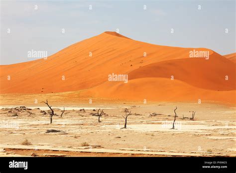 Namibia Desert Sand Dunes At Sossusvlei Namib Desert Landscape
