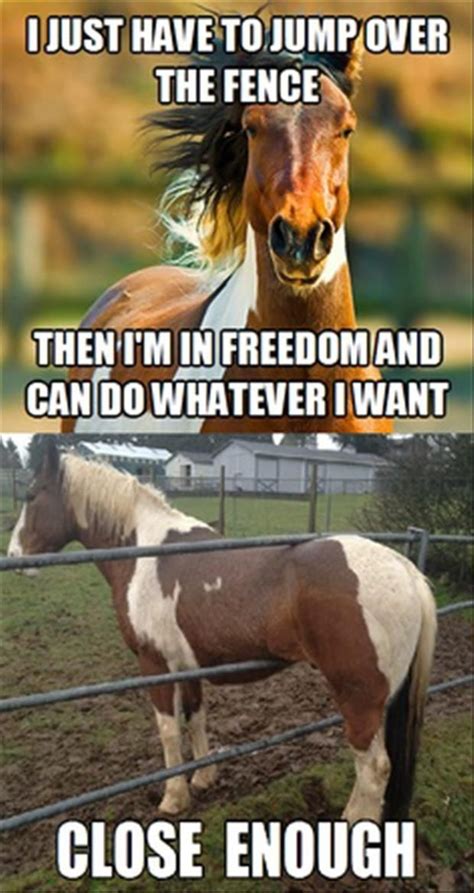 Horse Quotes Funny Funny Horse Pictures Horse Jokes Horse Riding