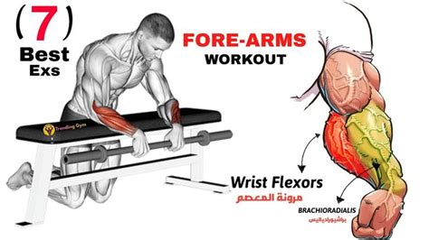 7 Best Forearm Exercises To Do At The Gym Entrenamiento