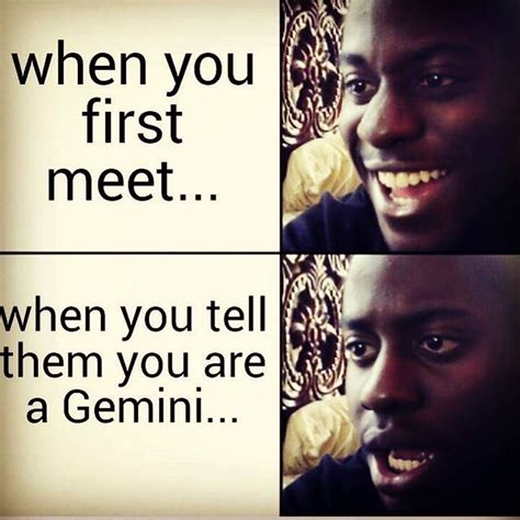 Gemini Dating Gemini Memes References Prestastyle