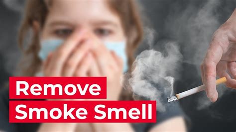 How To Get Cigarette Smoke Smell Out Of Carpet Carpet Points