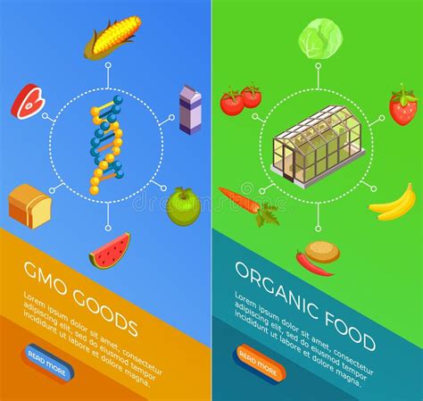 Genetically Modified Organisms Isometric Banners Stock Vector