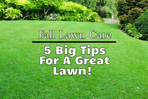 5 Fall Lawn Care Tips To Get Your Grass In Great Shape