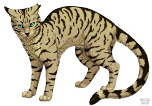 Otternoses top ten favorite, and least favorite warrior cats! by Otternose - BlogClan