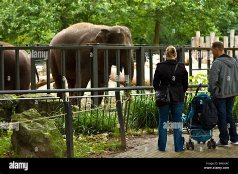 Artis Zoo Amsterdam Netherlands Hi Res Stock Photography And Images Alamy