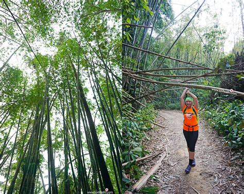 Two of them start in selangor; Gunung Nuang (Hulu Langat) 雪州最高峰之怒昂山我毕业啦!