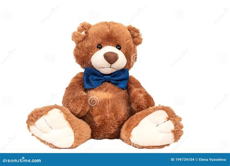 Cute Teddy Bear With Blue Bow Tie Sitting At White Wall Stock Photo