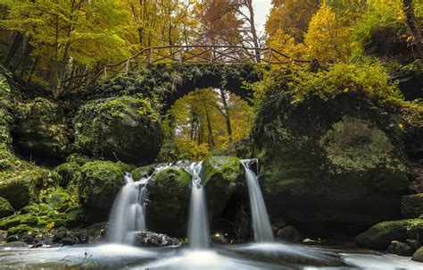 Wallpaper Autumn Forest Bridge River Waterfall