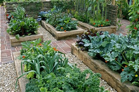 How To Build Raised Garden Beds In 4 Easy Steps Lawnstarter