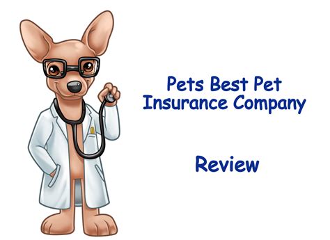 Pets Best Pet Insurance Company Review