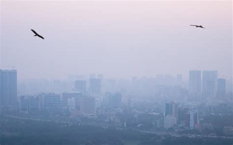 Mumbaiwasiyon, Winter Has Arrived, Minimum Temperatures To Stay Around
