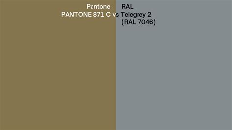 Pantone 871 C Vs Ral Telegrey 2 Ral 7046 Side By Side Comparison
