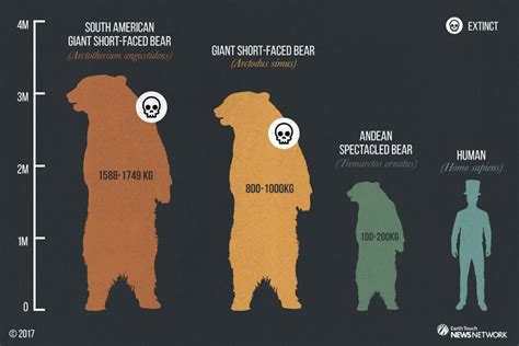 The Spectacled Bear And Its Spectacular Forebears Evolution Earth