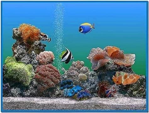 Microsoft Plus Aquarium Screensaver Download Free