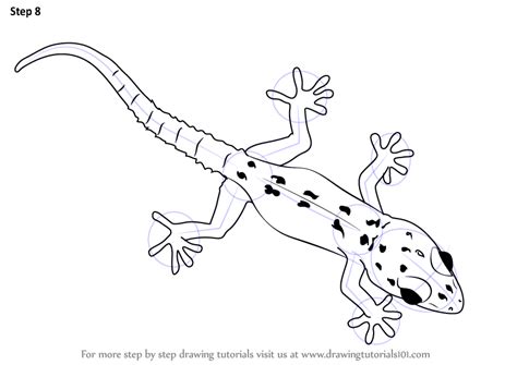 Learn How To Draw A Gecko Lizards Step By Step Drawing Tutorials