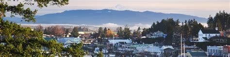 Skagit County Trends Home