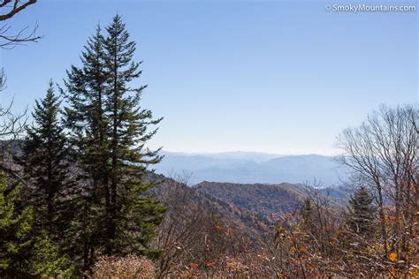 Andrews Bald Hiking Trail In The Smoky Mountains