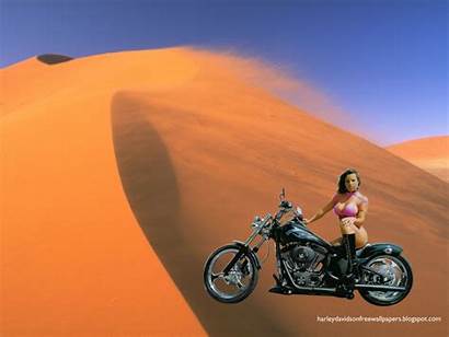 Harley Davidson Wallpapers Bikini Screensavers Desert Babes