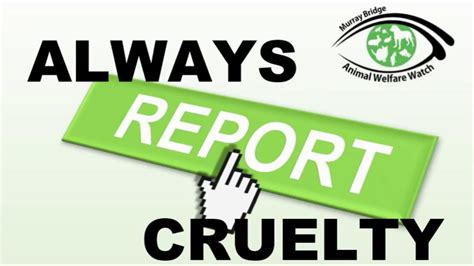 Always Report Cruelty - Murraylands Animal Welfare Watch 