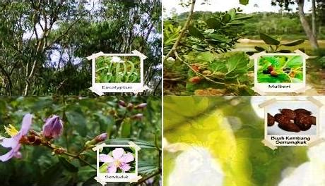 Ada skrip, ada jalan cerita yang ditambah perisa sesedap rasa. USAHAWAN AGRO BANK: HERBA & REMPAH - Nasuha