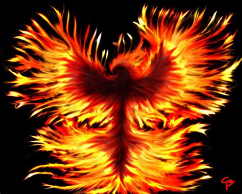 Phoenix Rising Wallpapers Top Free Phoenix Rising Backgrounds