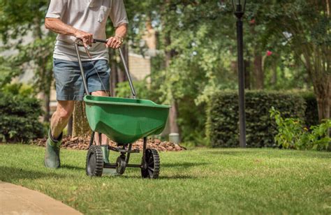 Fertilizer 101 Tips On How To Apply Fertilizer To Your Lawn Lawn