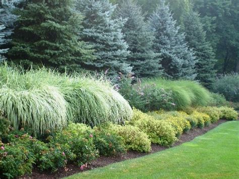 Wonderful Evergreen Grasses Landscaping Ideas 94 Evergreen Landscape