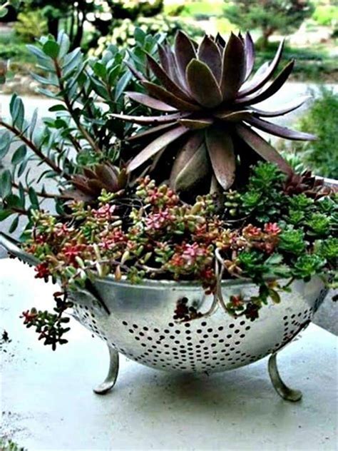 25 Unique And Beautiful Container Gardening Ideas That Will Amaze You
