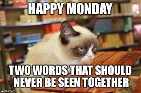 Happy Monday Images Cats