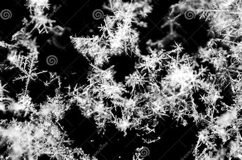 Snow Crystals Stock Image Image Of Winter Contrast 23413717