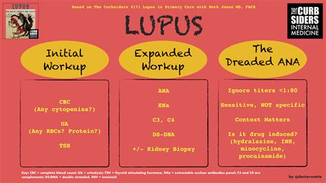 Infographic Lupus Diagnosis Pearls The Curbsiders Lupus In Primary