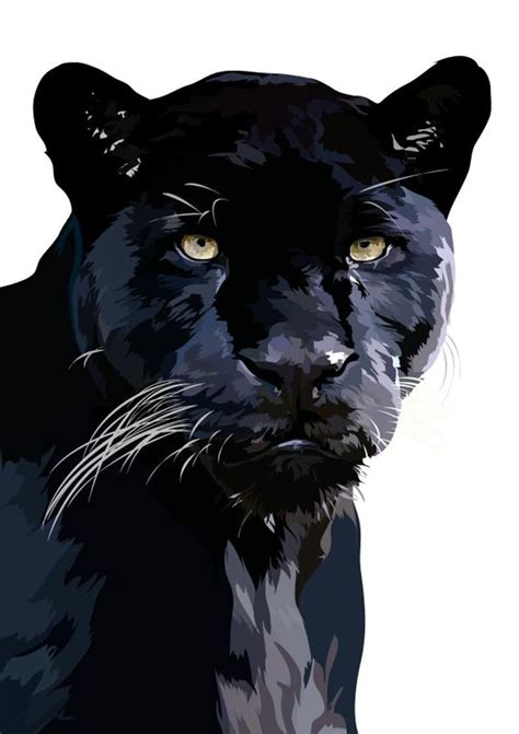 Animal Paintings Animal Drawings Black Panther Drawing Big Cats Art