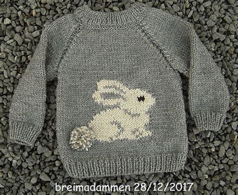 Ravelry Sweet Bunny Sweater Pattern By De Breimadammen In 2020 Baby