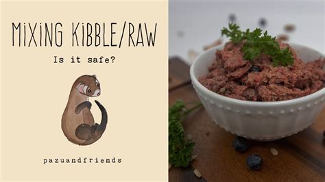 Mixing Kibble And Raw Is It Safe Youtube
