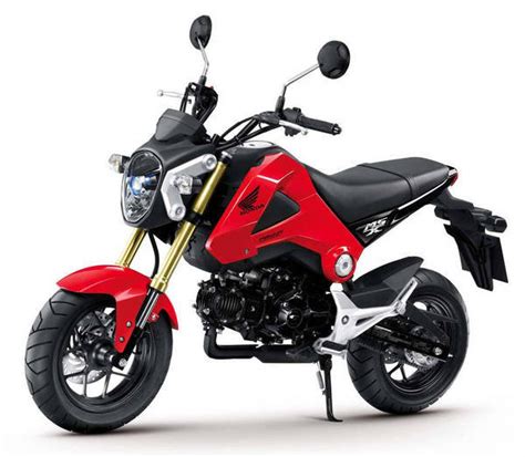 Taking the 2019 honda monkey 125 out for its first real top speed run! 2014 Honda Grom 125 Review - Top Speed