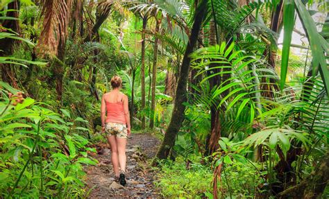 El Yunque Rainforest Hike San Juan Shore Excursion Caribbean Cruise