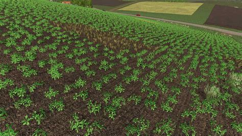 Seasons 19 Mod Growth Farming Simulator 19 Mod Fs19 Mod