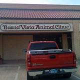 Buena Vista Animal Clinic Irving Tx