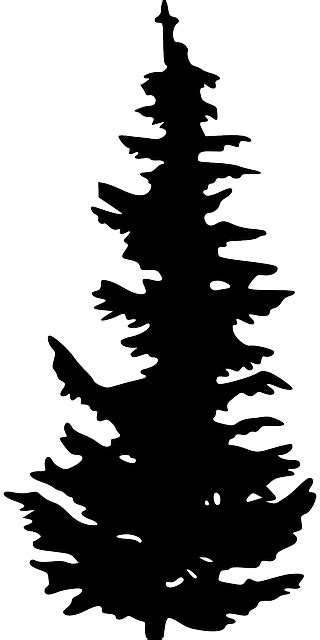 kostenlose vektorgrafik silhouette schwarz pflanze baum kostenloses bild auf pixabay